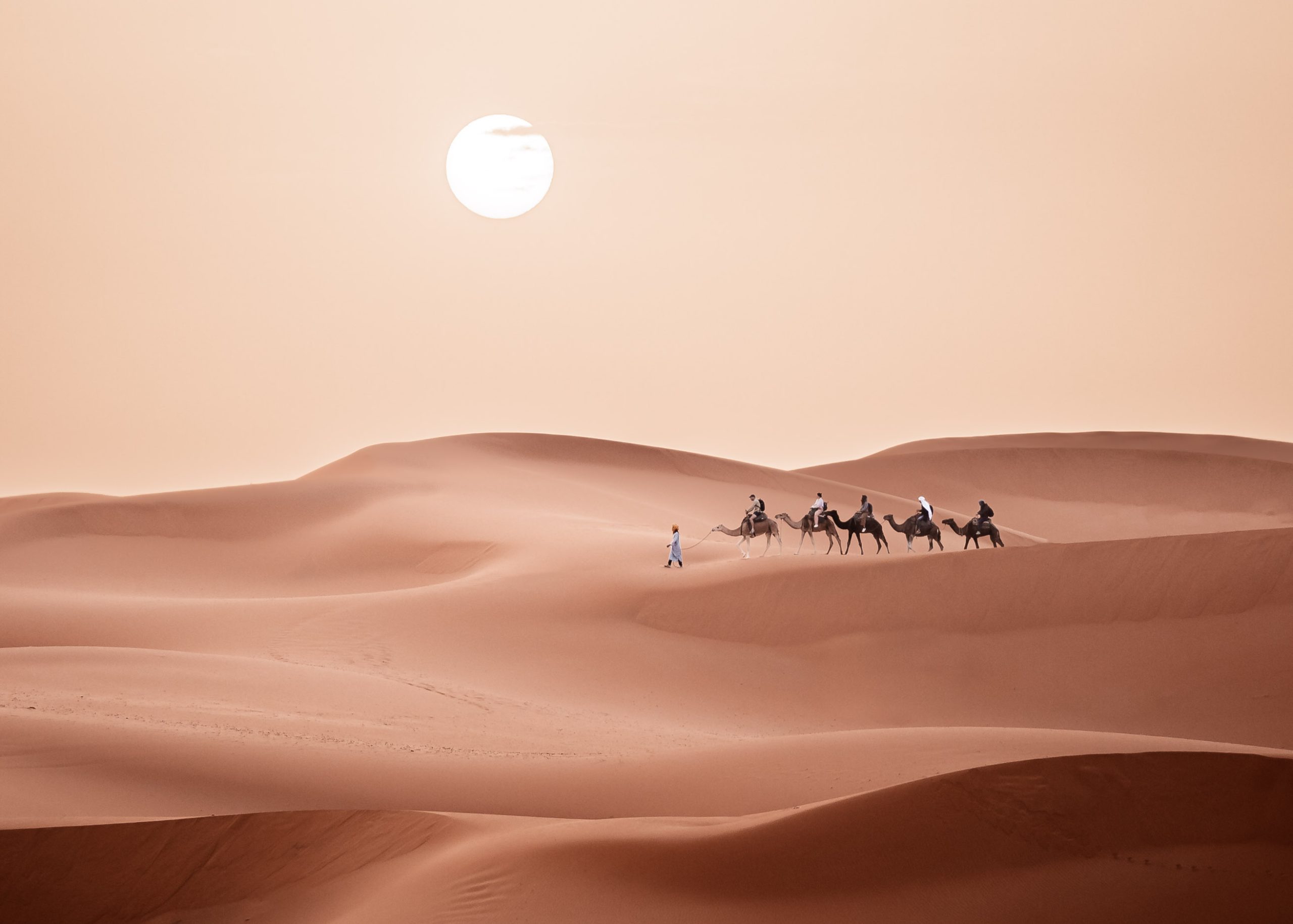Sahara Desert
